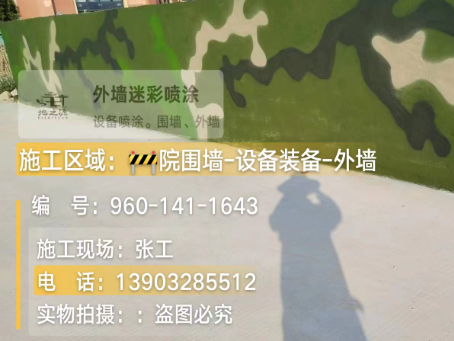 垫江 迷彩漆喷涂价格（按平方米计费）
